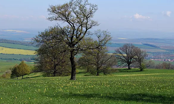 IS CHKO Bílé Karpaty