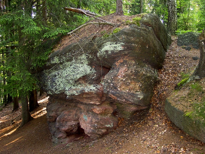Pokřemenělá dřeva na Kryštofových kamenech u Odolova.